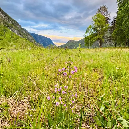 Dalen Bed & Breakfast 4* Dalen